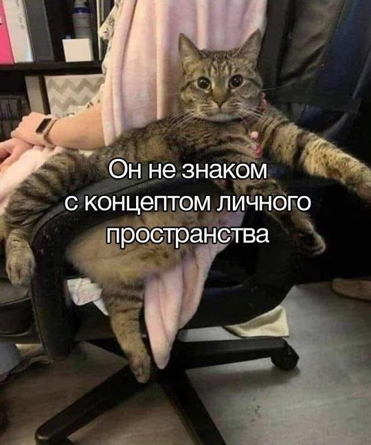 Весёлый полтишок 27.08.24