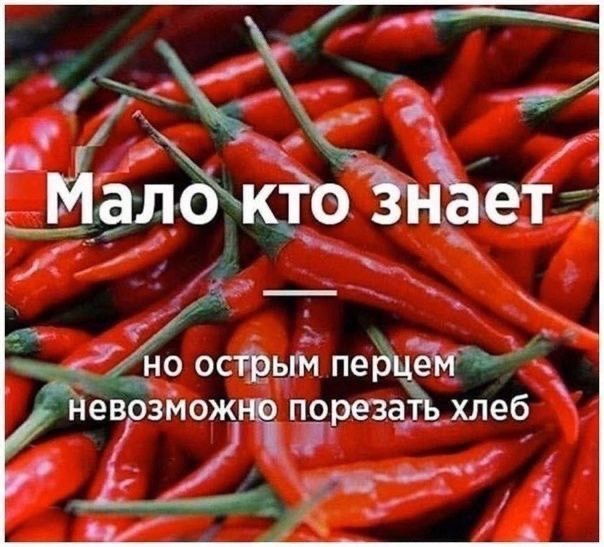 Так себе картинки 09.10.24