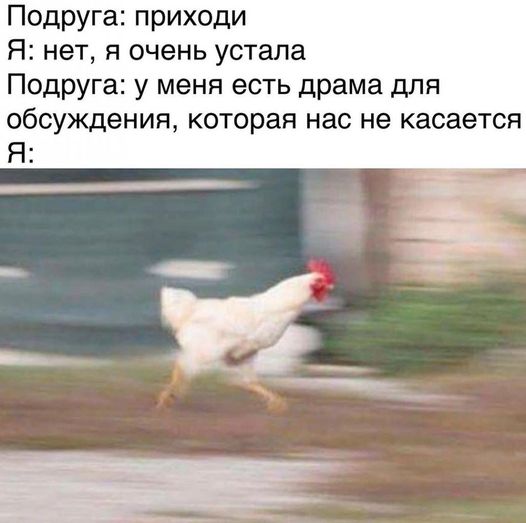 Весёлые картинки 2