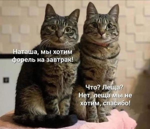 Так себе картинки 17.02.25