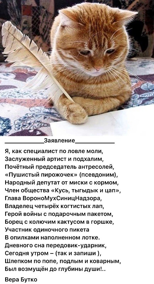 Так себе картинки 28.06.25