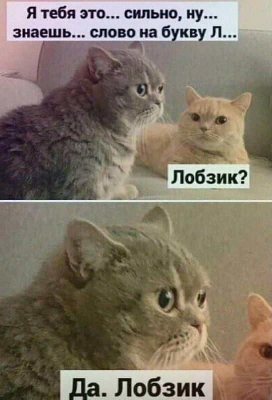 К котовторнику: подборка картинок-баянов с котиками и про котиков. Выпуск 18.