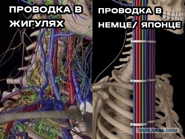 В серверной должен быть порядок с проводами