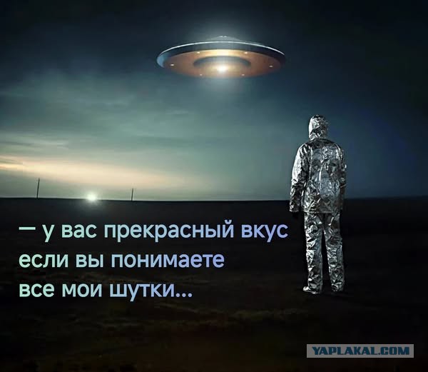 Веселое настроение в картинках (28.09.2025)