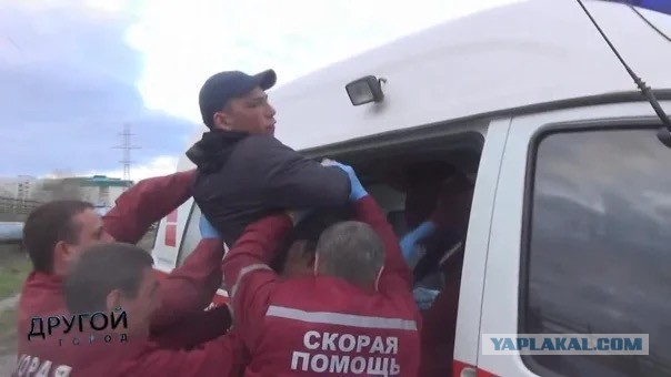 Нашёл в саду голову динозавтра