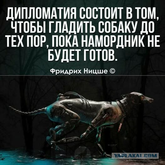 Веселые картинки в маленькую пятницу (12.11)