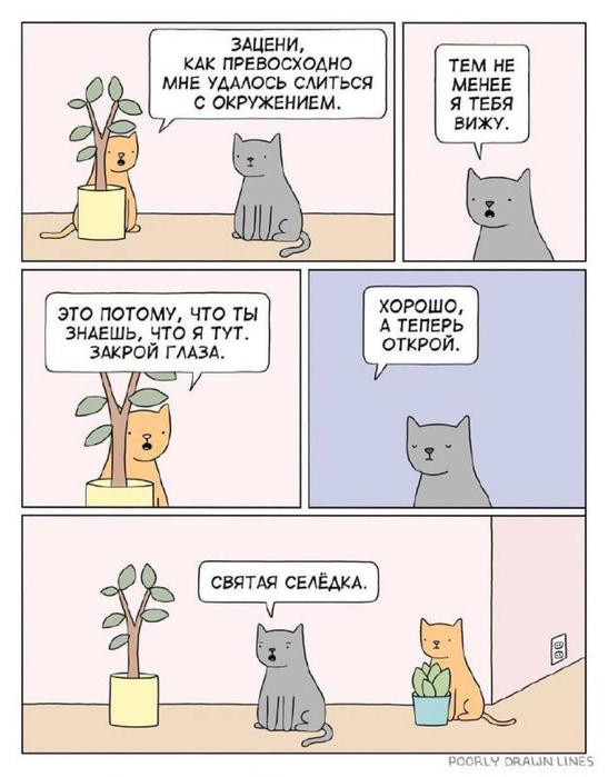Воскресные картинки