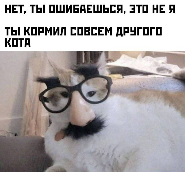 Прикольные и просто красивые картинки 25.11.2025
