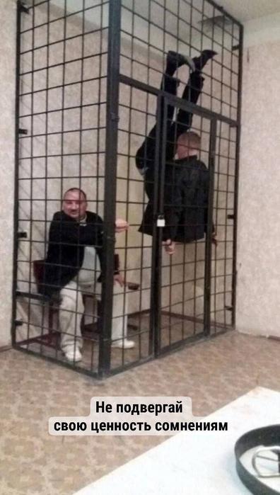 Картинки для деградации 94 (разной степени свежести)