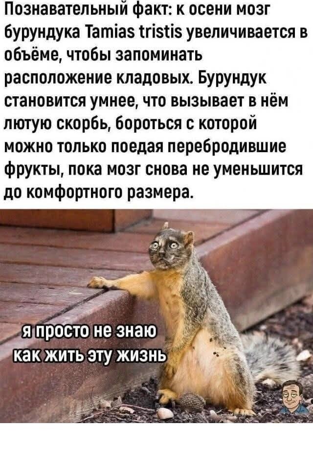 Картинки для деградации 104 (разной степени свежести)