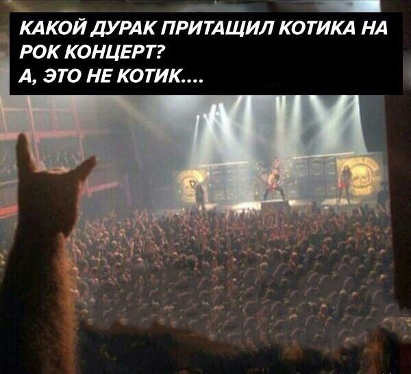 Картинки для деградации 110 (разной степени свежести)