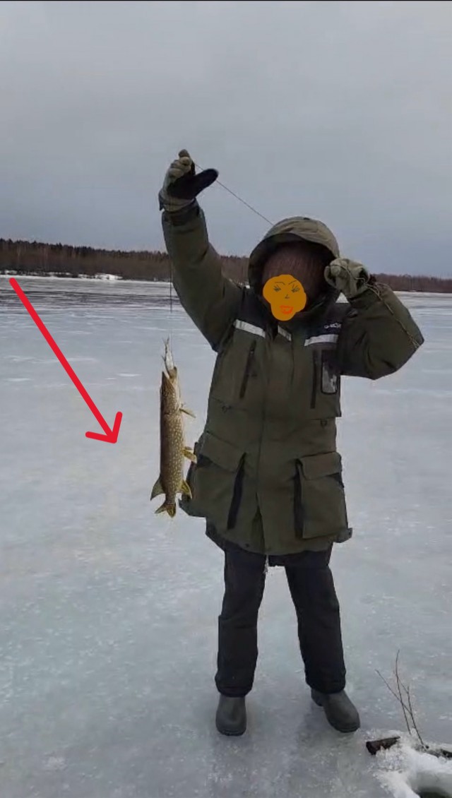 А я щуку поймала