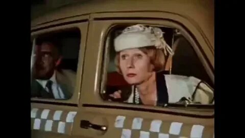 В мире животных