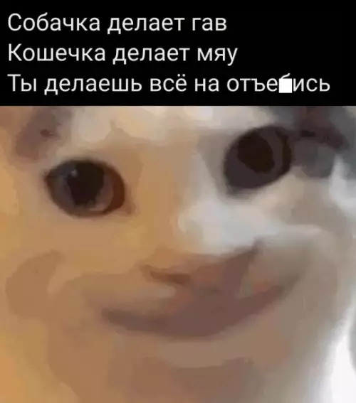 Картиночки, баянчики 01 марта