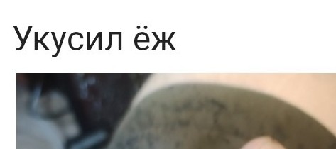 Пробники номинантов на премию Дарвина