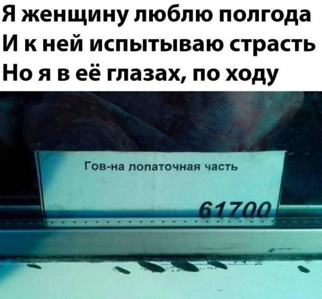Картинки для деградации 206 (разной степени свежести)