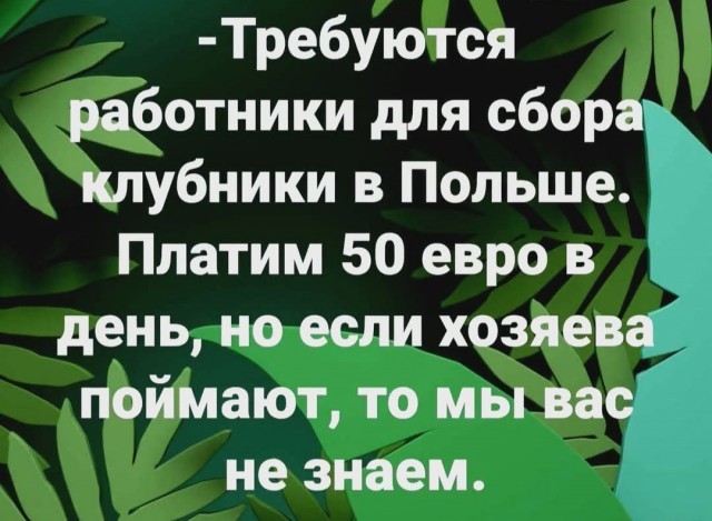 Лето !!!