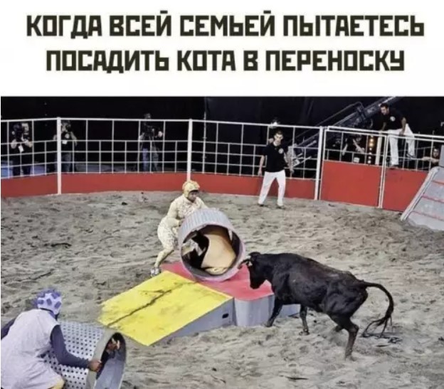 Картиночки, баянчики 10 июня