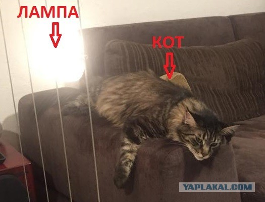 Как полагаете - мудро поступила сия дама?