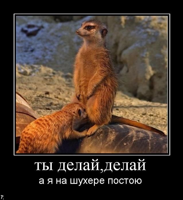 Личный сборник демотиваторов [~25]