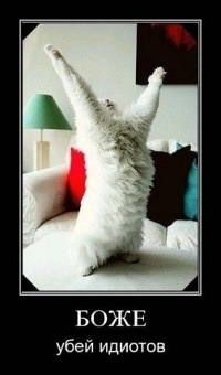 Путин сеет панику в Европе... Даже не открывая рта