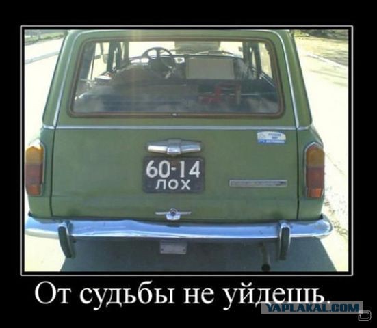 Картинки