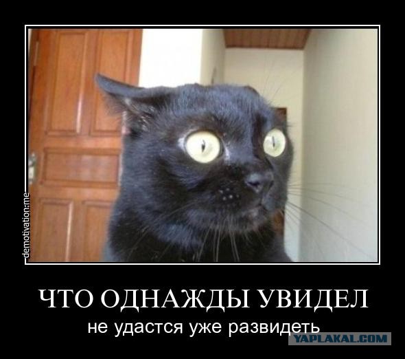 Самые злобные демотиваторы