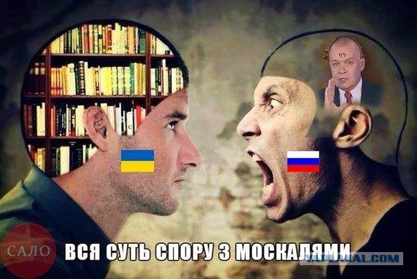 ДНР, ЛНР и российское вторжение в Чечню