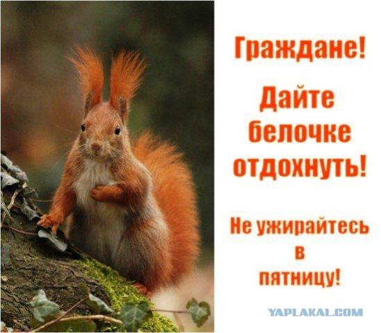 Пятница и 4 дня выходных!