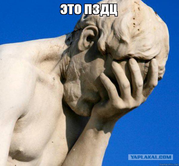 $309 тысяч на пластику