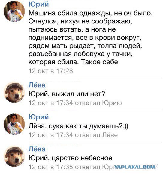 Смешные комментарии из соц. сетей 28.10.15