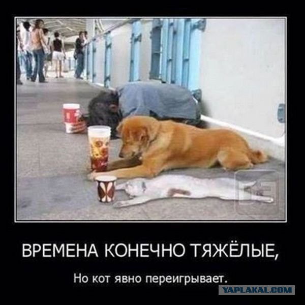 Смешные картинки