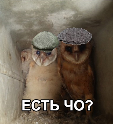 Находка в трубе заброшенного дома