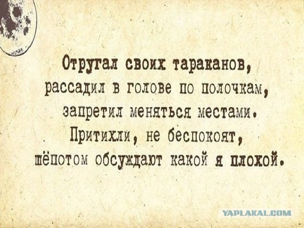 Картинки и приколы из соцсетей