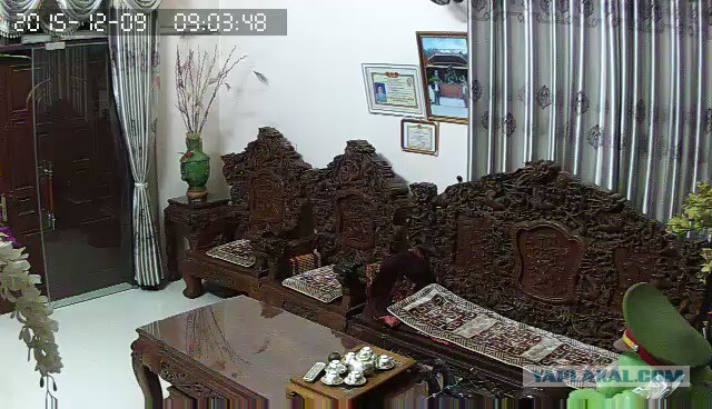 За что я люблю китайцев