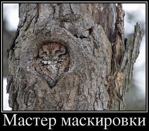 А давайте улыбнёмся В Новом Году