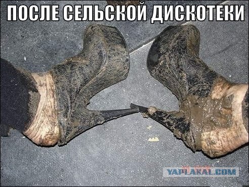 Ужасы и приколы из соцсетей 18+