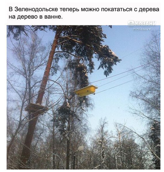 Картинки из вацапа