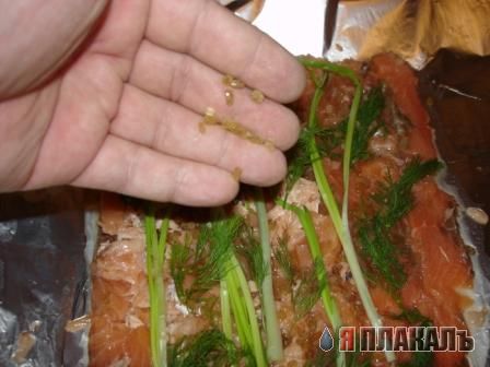 Все из рыбы!