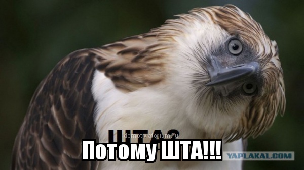 Позитивная подборка демотиваторов