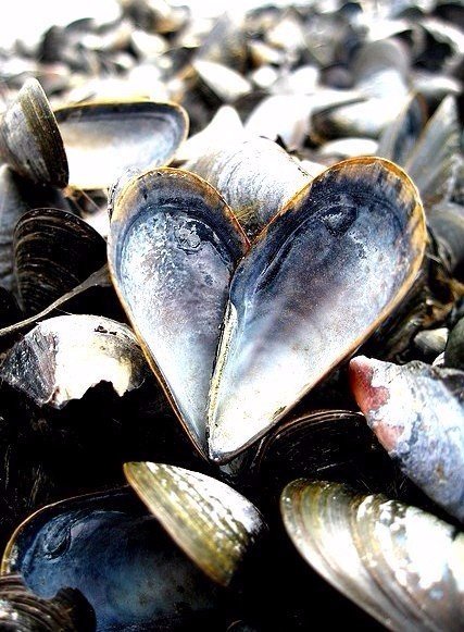 Интересные и веселые картинки