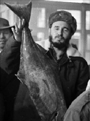 Боже, как ты далеко теперь, Фидель.