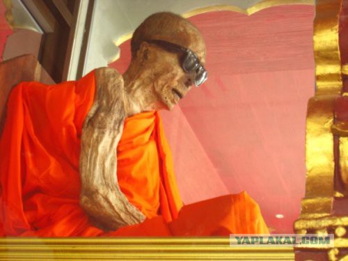 В Таиланде нашли нетленную мумию с магическими татуировками