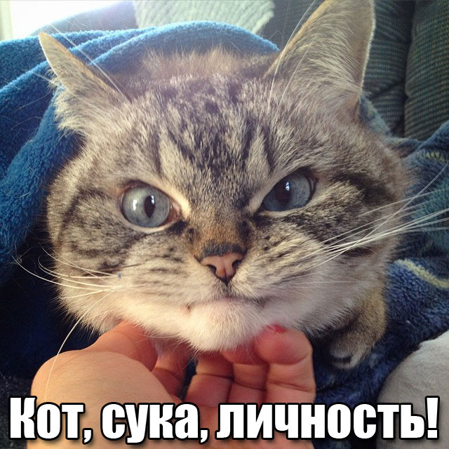 Пылесос? Пф-ф-ф...