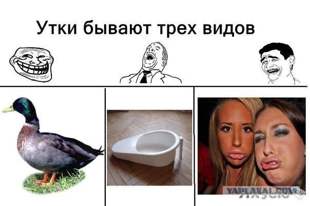 Пусть только пьяной не ездит.