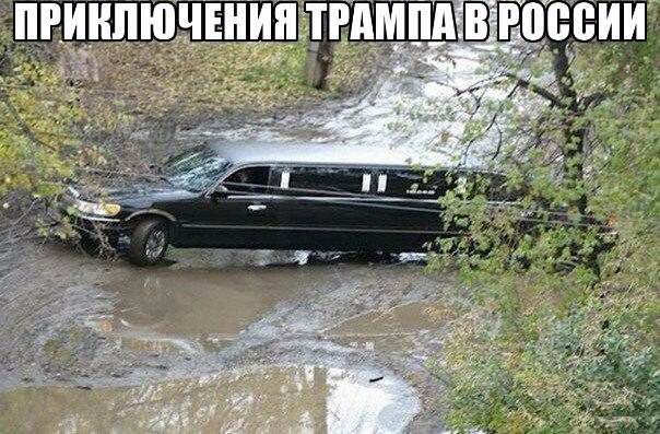 Подборка безудержного веселья