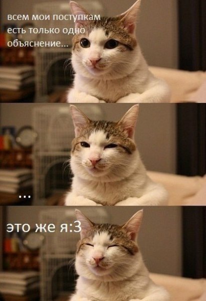 184 картинки для поднятия настроения!