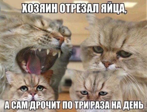 Приколы в стиле "регресс"