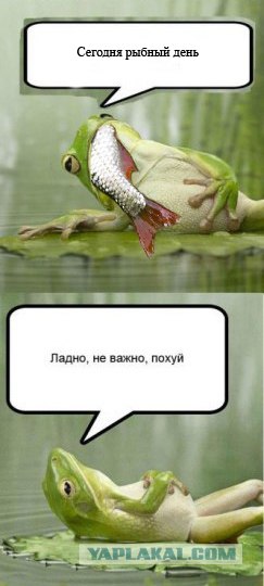 Наглядно о фразе "жаба задушила"