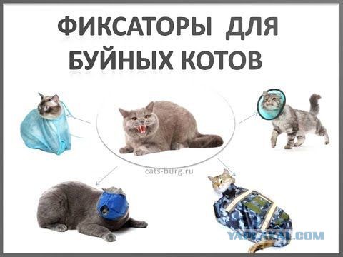 Отпустите мужа на свободу!